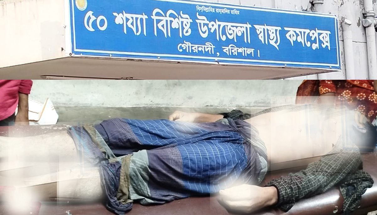 গৌরনদীতে বজ্রপাতে নিহত ২, আহত ১